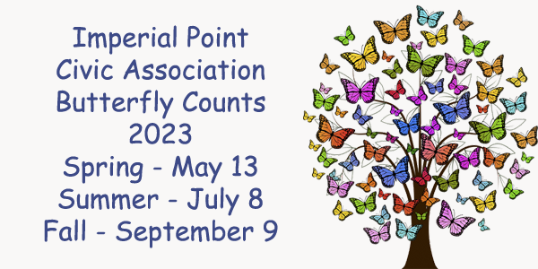 Imperial Point Butterfly Count