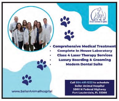 Seiler Animal Hospital  CLICK FOR WEBSITE